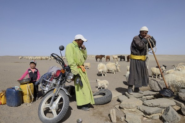 "Le nomade mongol lorsqu’il est avec ses chèvres cachemire est fier de sa fibre.La production d’une fibre est directement liée à la manière dont l’éleveur gère son troupeau. " (Copyright JB RABOUAN)