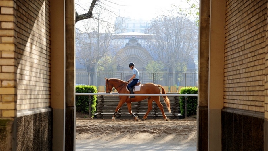 L'allure fière du cavalier de la Garde Républicaine et de son cheval lors d'un entraînement. © Garde Républicaine.