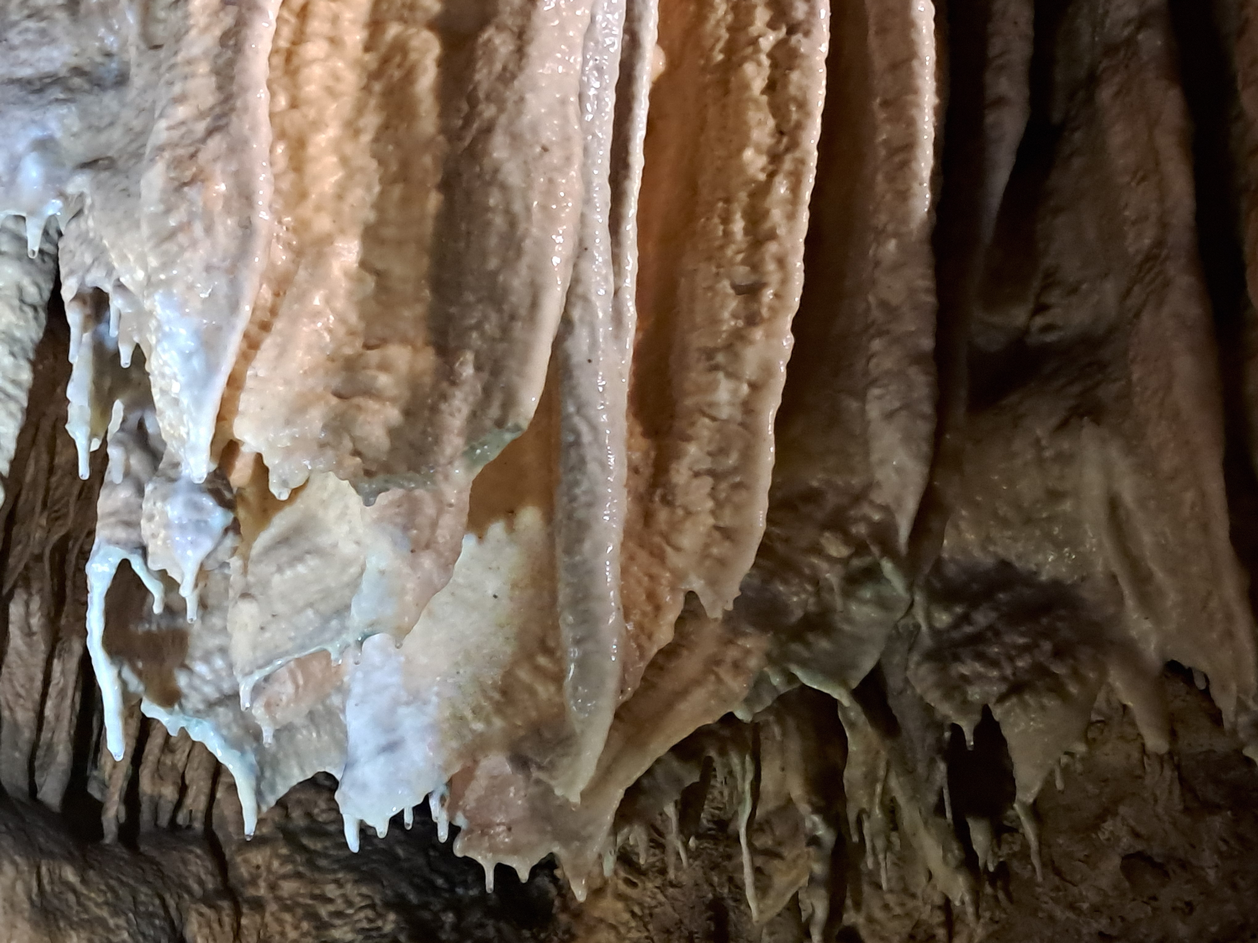 Dans les entrailles de la terre aux Grottes de Cerdon_Parc de Loisirs préhistoriques ©Catherine Gary