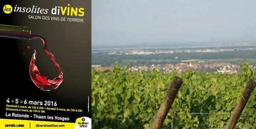 Affiche des insolites divins à Thaon-les-Vosges près d’Épinal. ©Dîners Insolites ; Courir dans les vignobles vosgiens © courirdanslesvosges.Blogspot.fr