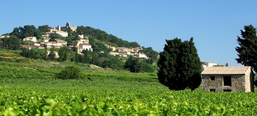 On peut essayer de résumer Rasteau comme des vignes et des hommes dans un univers  à la  Pagnol métissé de  Giono, dans un décor à la Daudet, sans oublier l’accent de Mistral.  ©  Office de tourisme Rasteau