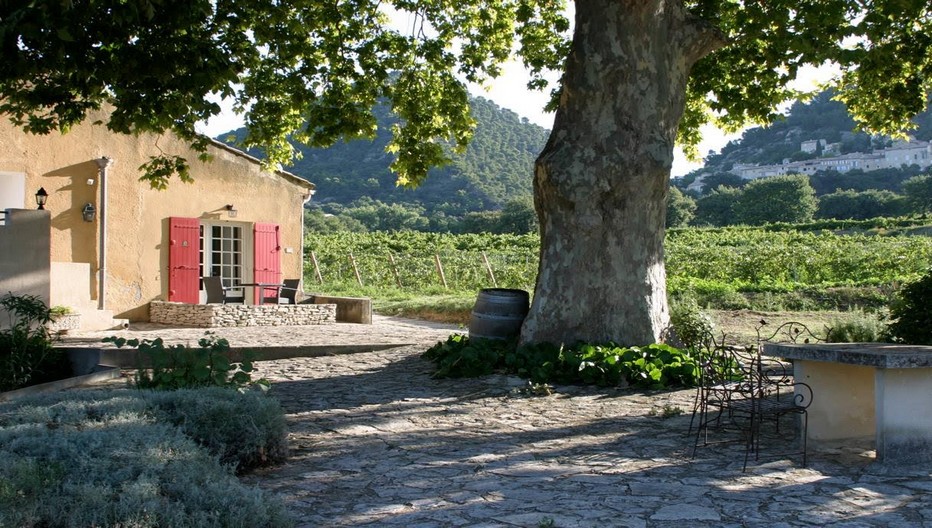 L'Appellation d’Origine Contrôlée RASTEAU est un Cru des Côtes du Rhône classé AOC depuis 2010, qui produit 96% de vins rouges et 4% de VDN, les fameux vins doux naturels. Des vins directement issus et produits depuis les paysages du Nord Vaucluse, qui fleurent déjà bon la Provence. Copyright Office de Tourisme Rasteau