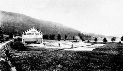 Le blanchiment des toiles sur pré à Gérardmer… un technique ancestrale éprouvée avec succès. ©Bertrand Munier