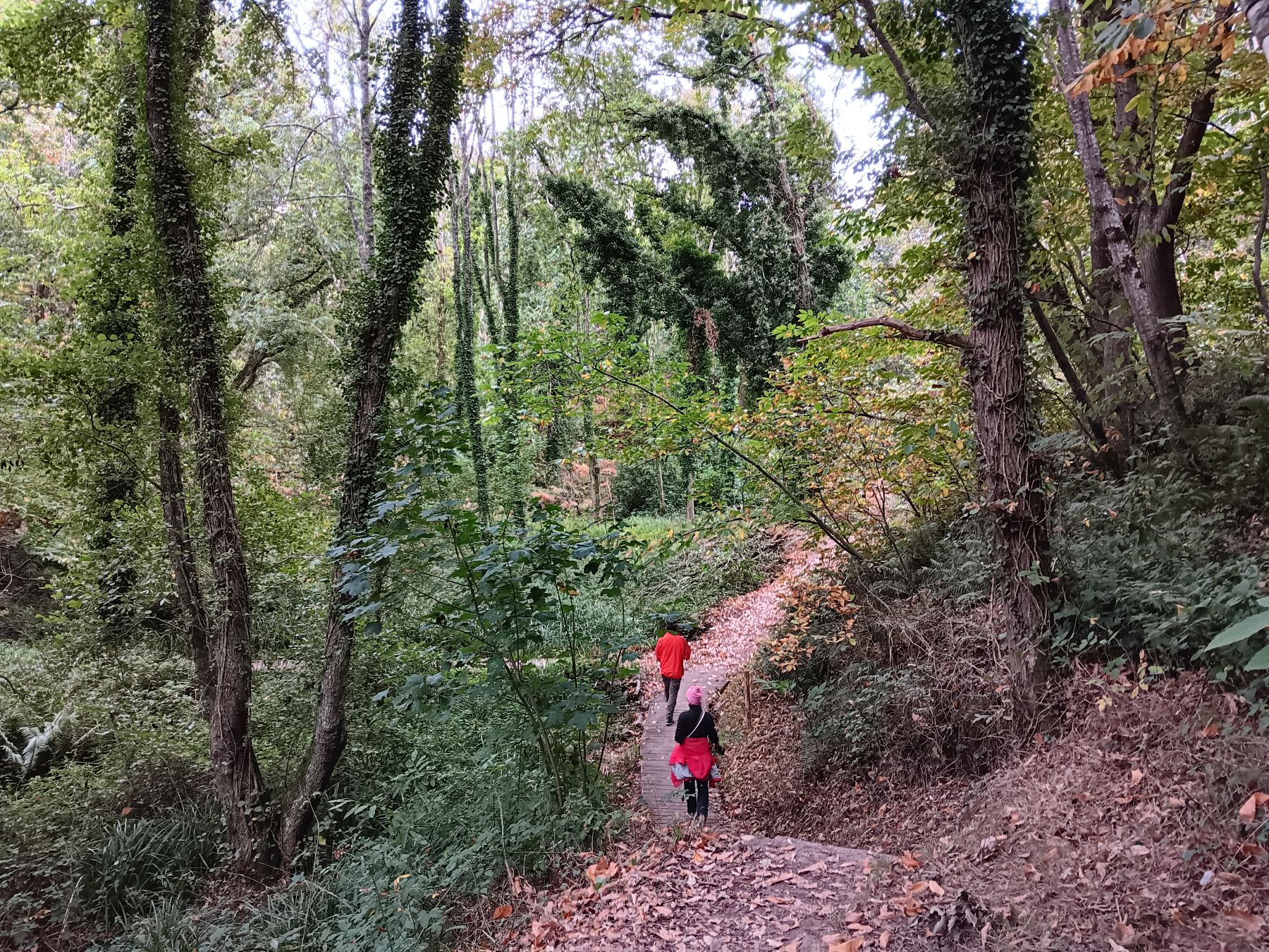 Une balade sur les sentiers de la vallée des Traouïero