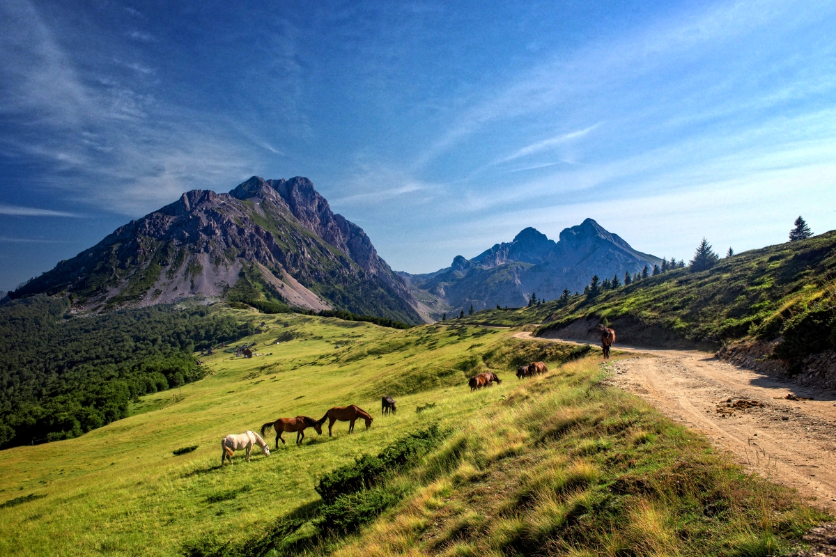 1 Les montagnes de l'arrière-pays ©NTOMontenegro