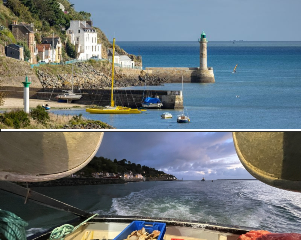 Dotée d’une IGP depuis 2021, la Coquille Saint-Jacques de la Baie de Saint-Brieuc s’inscrit dans un « site remarquable du goût » qui souligne le caractère spontané et indissociable d’un paysage et d’une production modelée et perpétuée.