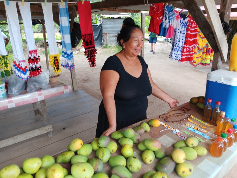 Guyane25 Saint-Laurent du Maroni Balaté Village amérindien
