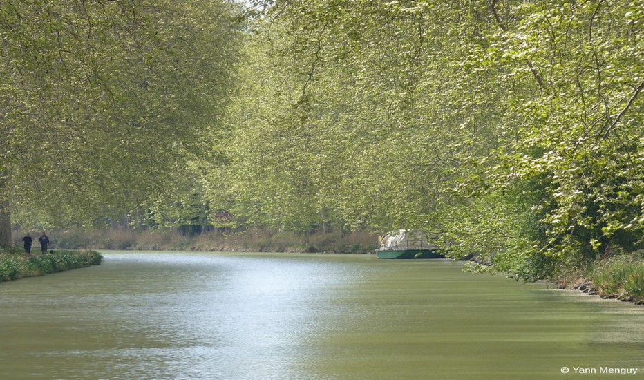 2016 marque l'histoire et le 350ème anniversaire du canal du Midi.  © Yann Menguy