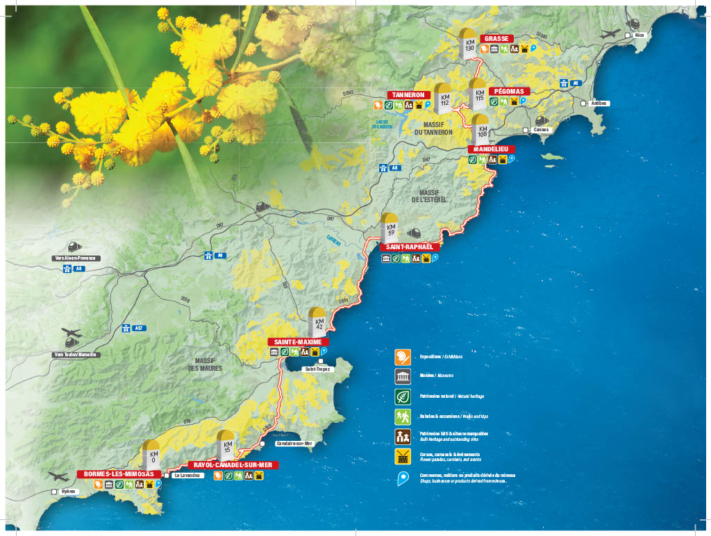 Suivez la route du mimosa