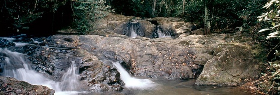 Cuiabá, l’une des villes où la torche fera halte pour la nuit, est notamment la porte d’entrée de l’Alto Paraguai, un  bassin hydrographique colossal, où le Rio Cuiabá prend sa source. (Copyright visitbrasil.com/ )