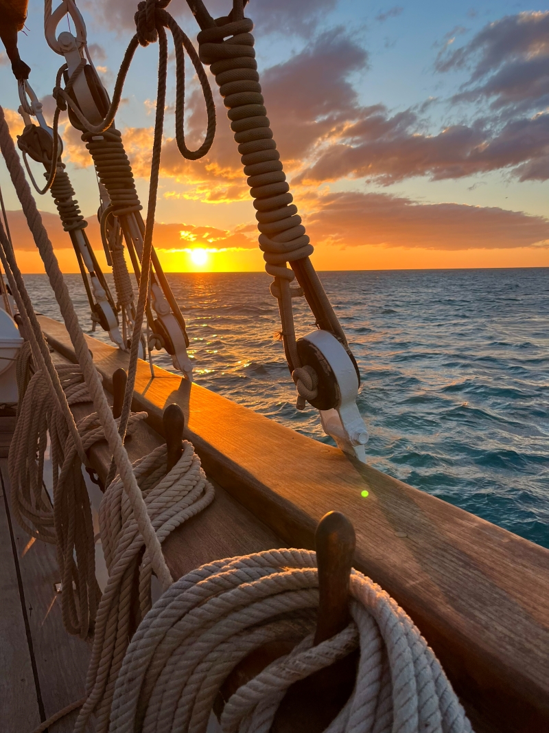 La golden hour sur l'étang