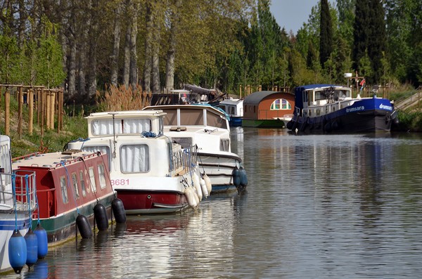 De nombreuses pénichettes sont amarrées en attendant de reprendre la navigation sur le Canal du Midi (Hérault)  © David Raynal