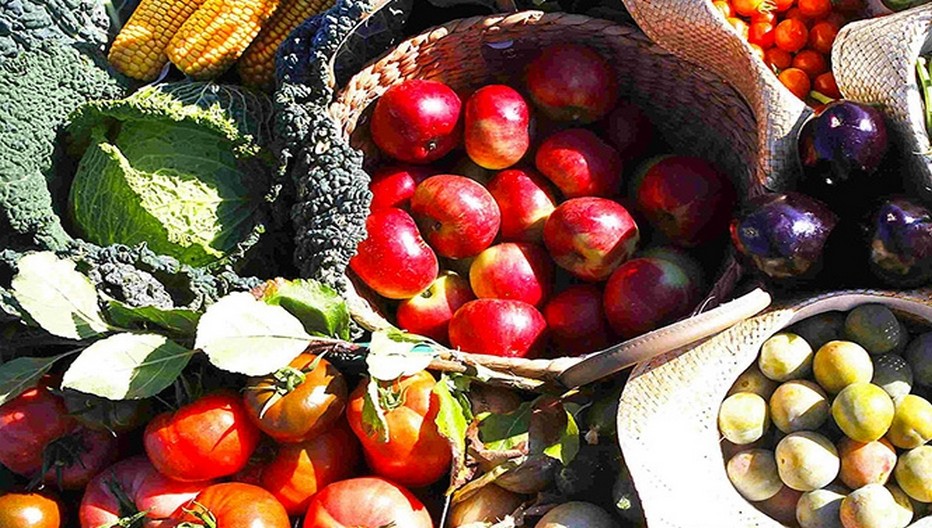 La cueillette c'est aussi retrouver la vraie saveur des produits.  ....  © www.chapeaudepaille.fr