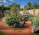 Les Jardins de la Paix, en mémoire de la Grande Guerre