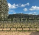 LA PROVENCE PAR EXCELLENCE