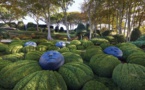 Les jardins d’Etretat – Un jardin de conte de fée Les jardins d’Etretat – Un jardin de conte de fée