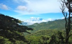 Ecotourisme et biodiversité - Bienvenue au  Panama ! Ecotourisme et biodiversité - Bienvenue au  Panama !