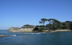 Golfe du Morbihan, le charme naturel de la Bretagne du sud 