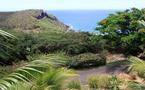 Ile de La Réunion, le Palm Hôtel : Une Escale de Rêve