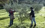 Italie, quelques secrets qui font l’excellence de Molini