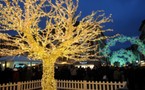 25è édition des Lumières de Noël à Montbéliard