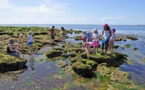 Les 4 Vents à Noirmoutier, un village de vacances exemplaire !