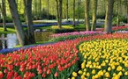 Hollande : La Pologne à l’honneur , pour l’inauguration, le 21 Mars des célèbres jardins de Keukenhoff dans la ville de Lisse aux Pays-Bas.