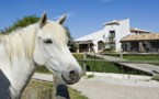 Camargue : Tourisme aux  Saintes Maries de la Mer et  plaisir des sens  aux Arnelles