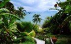 Focus sur la Thaïlande dans toute sa diversité ! Focus sur la Thaïlande dans toute sa diversité !