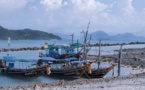 Focus sur.... Koh Phangan et Koh Samui - îles  paradisiaques du bien-être et du bien-manger -