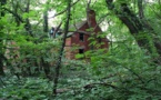 North Brother, une île abandonnée en plein New-York.