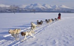Chiens de traineaux aux Carroz -  un avant-goût du Grand Nord Chiens de traineaux aux Carroz -  un avant-goût du Grand Nord