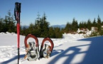 Covid et sports d'hiver, les hébergeurs et les stations s'organisent. Covid et sports d'hiver, les hébergeurs et les stations s'organisent.