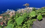 Madère encourage le tourisme avec l’adoption d’un « couloir vert » Madère encourage le tourisme avec l’adoption d’un « couloir vert »