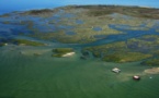 La réserve ornithologique du Teich, une escale paradisiaque pour oiseaux venus d’ailleurs.