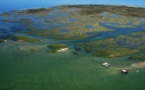 La réserve ornithologique du Teich, une escale paradisiaque pour oiseaux venus d’ailleurs. La réserve ornithologique du Teich, une escale paradisiaque pour oiseaux venus d’ailleurs.