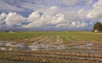 Terres de l’Ebre et Costa Daurada, la Catalogne à l’état pur !