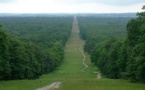 Forêt de Compiègne :  Amour quand tu nous tiens !