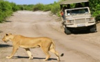 Botswana, safari dans un jardin d'Eden !