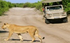 Botswana, safari dans un jardin d'Eden ! Botswana, safari dans un jardin d'Eden !