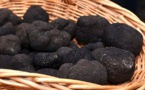 Marché aux truffes de Sarlat : à la poursuite du diamant noir  !