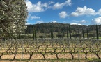 LA PROVENCE PAR EXCELLENCE