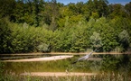 Le Bas-Rhin, terre de pleine nature et de traditions