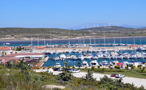 Faire pleurer les arbres à Alaçati…
