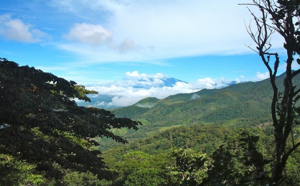 Ecotourisme et biodiversité - Bienvenue au  Panama !
