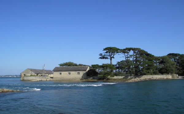 Golfe du Morbihan, le charme naturel de la Bretagne du sud