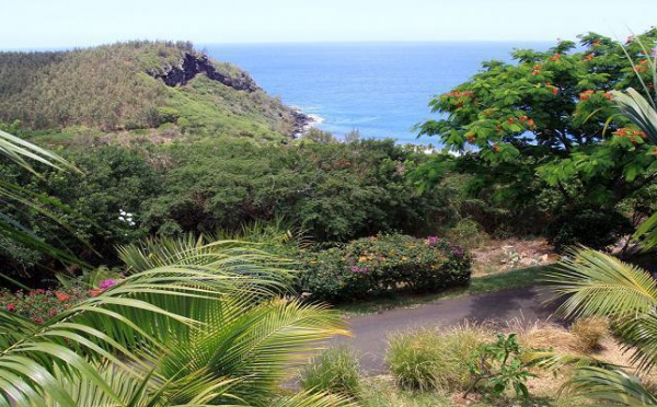 Ile de La Réunion, le Palm Hôtel : Une Escale de Rêve