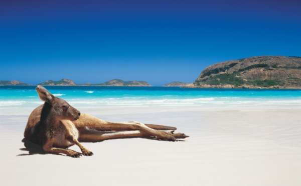 Ecotourisme en Australie : Virée dans les immensités du Nullarbor