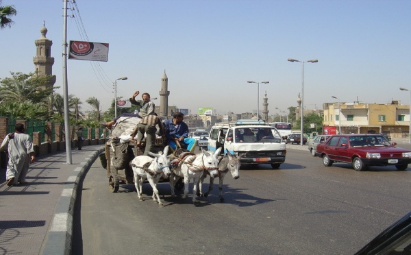 Egypte : Tourisme au Caire après la révolution  