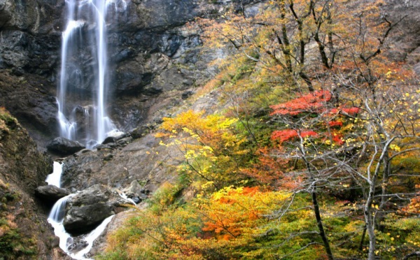 Japon, balade en terre samouraïs